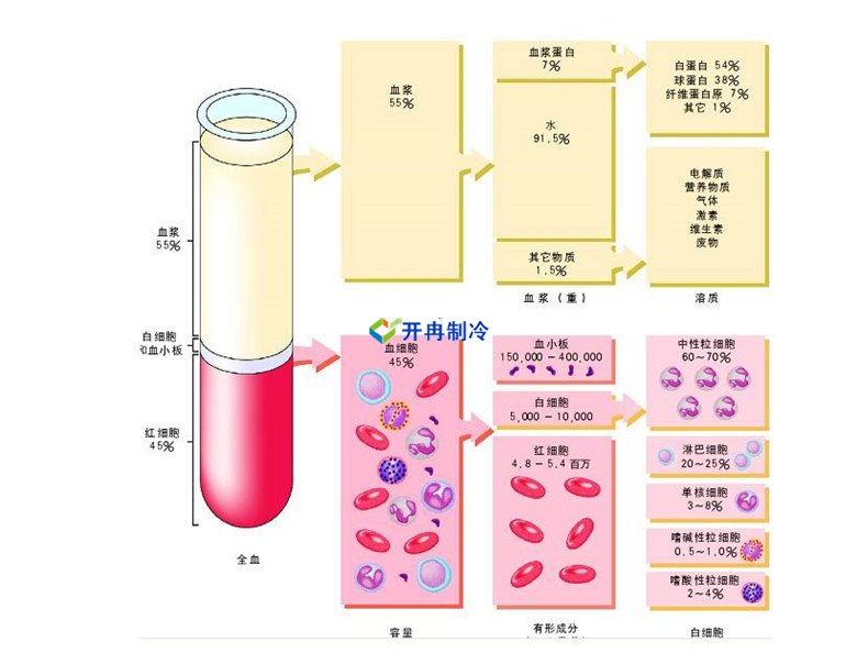 -30℃～-80℃血漿蛋白低溫冷凍庫規(guī)范，冷庫安裝價格